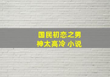 国民初恋之男神太高冷 小说